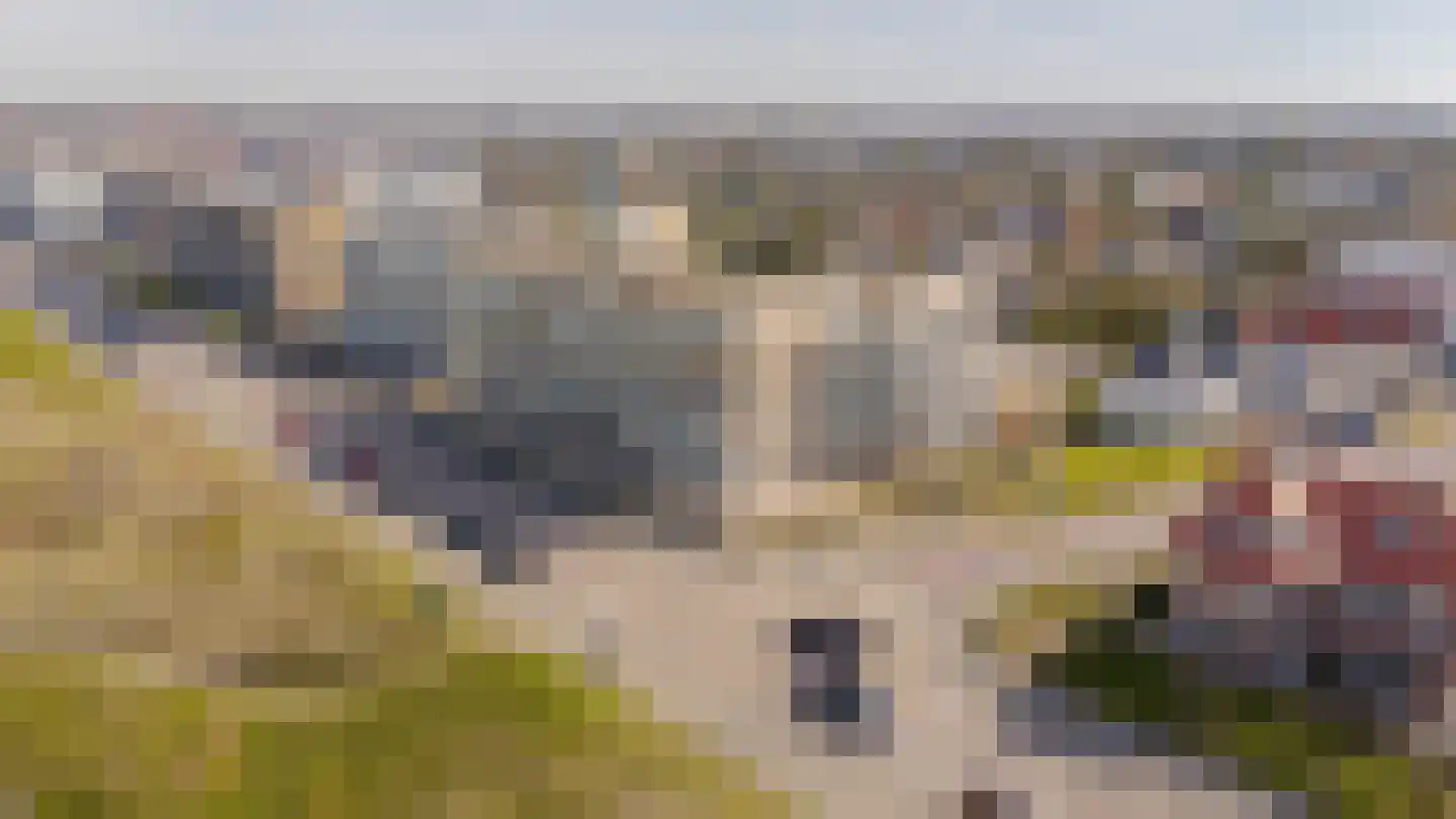 Residence Astrid 13 Noordwijk thumbnail 21