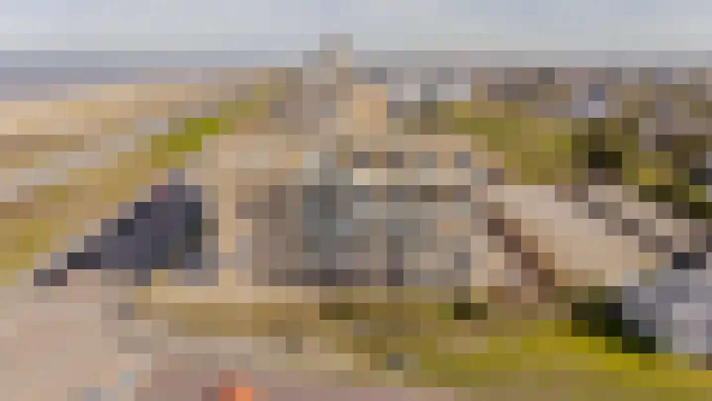 Residence Astrid 13 Noordwijk thumbnail 22