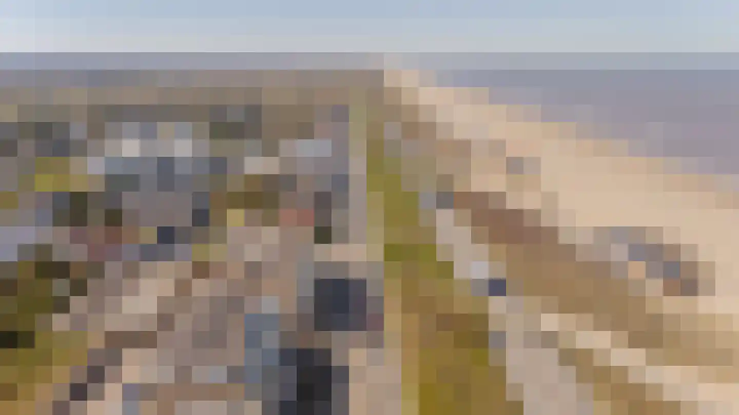 Residence Astrid 13 Noordwijk thumbnail 23