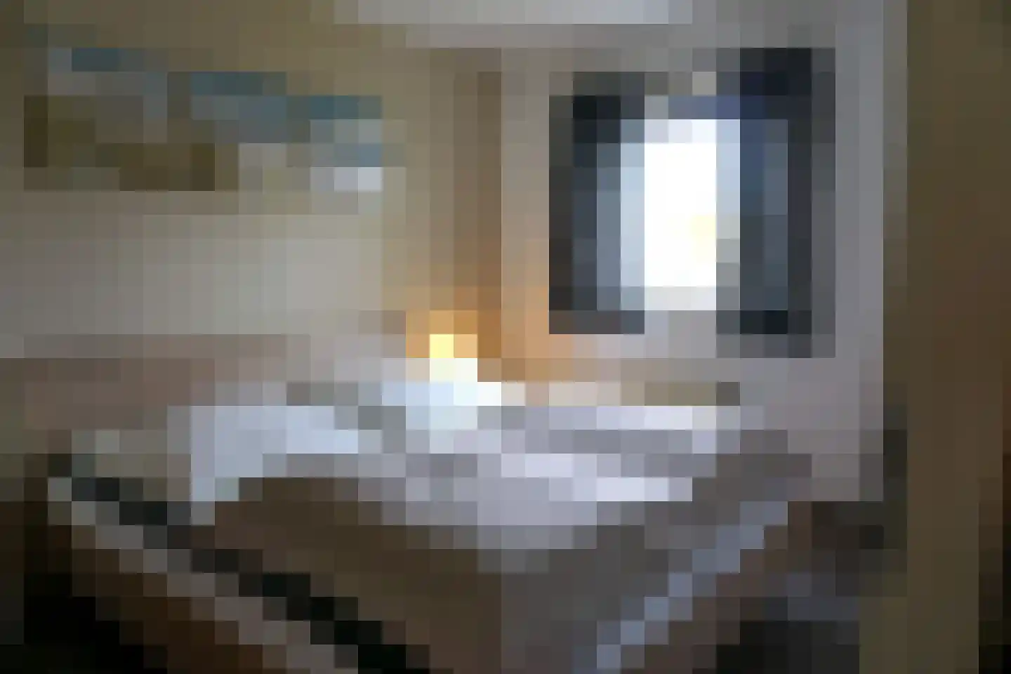 Residence Juliana 10 Julianadorp thumbnail 13