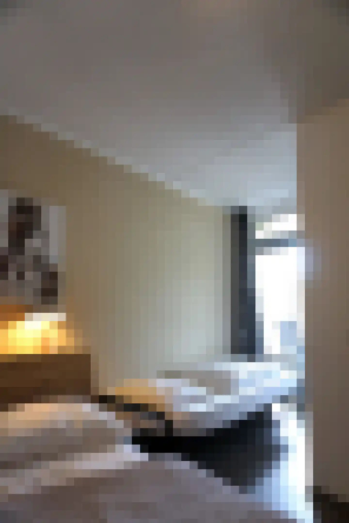 Residence Juliana 10 Julianadorp thumbnail 15