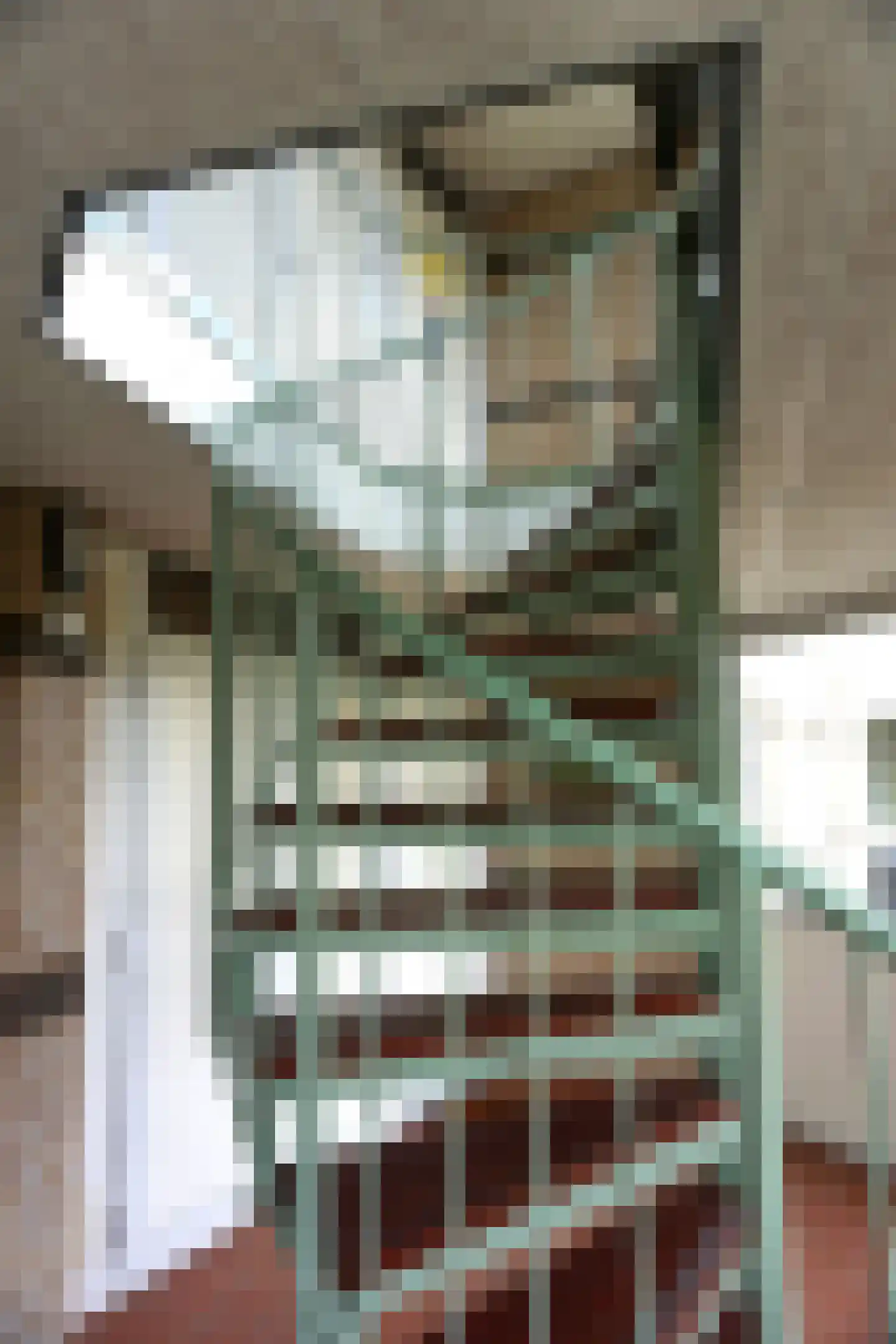 Residence Juliana 10 Julianadorp thumbnail 25