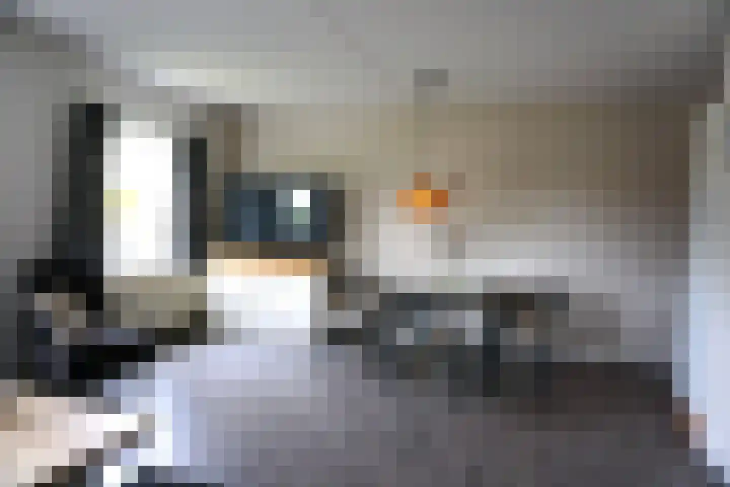 Residence Juliana 10 Julianadorp thumbnail 5