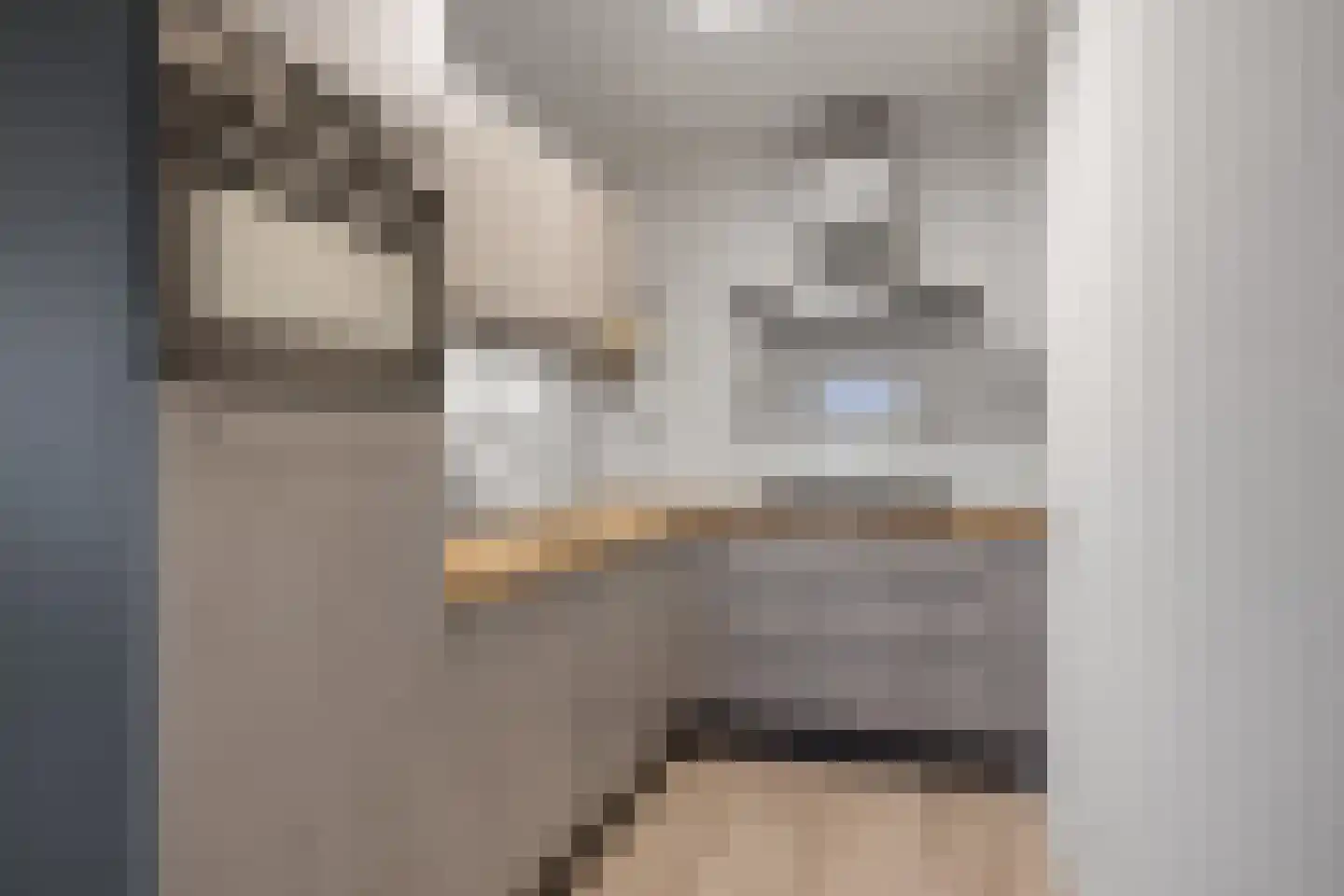 Residence Juliana 39 Julianadorp thumbnail 15