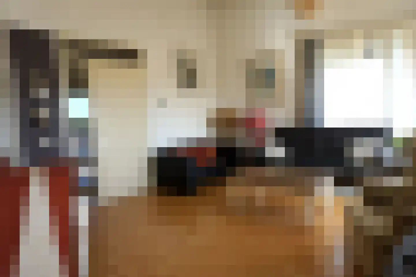 Residence Juliana 42 Julianadorp thumbnail 13