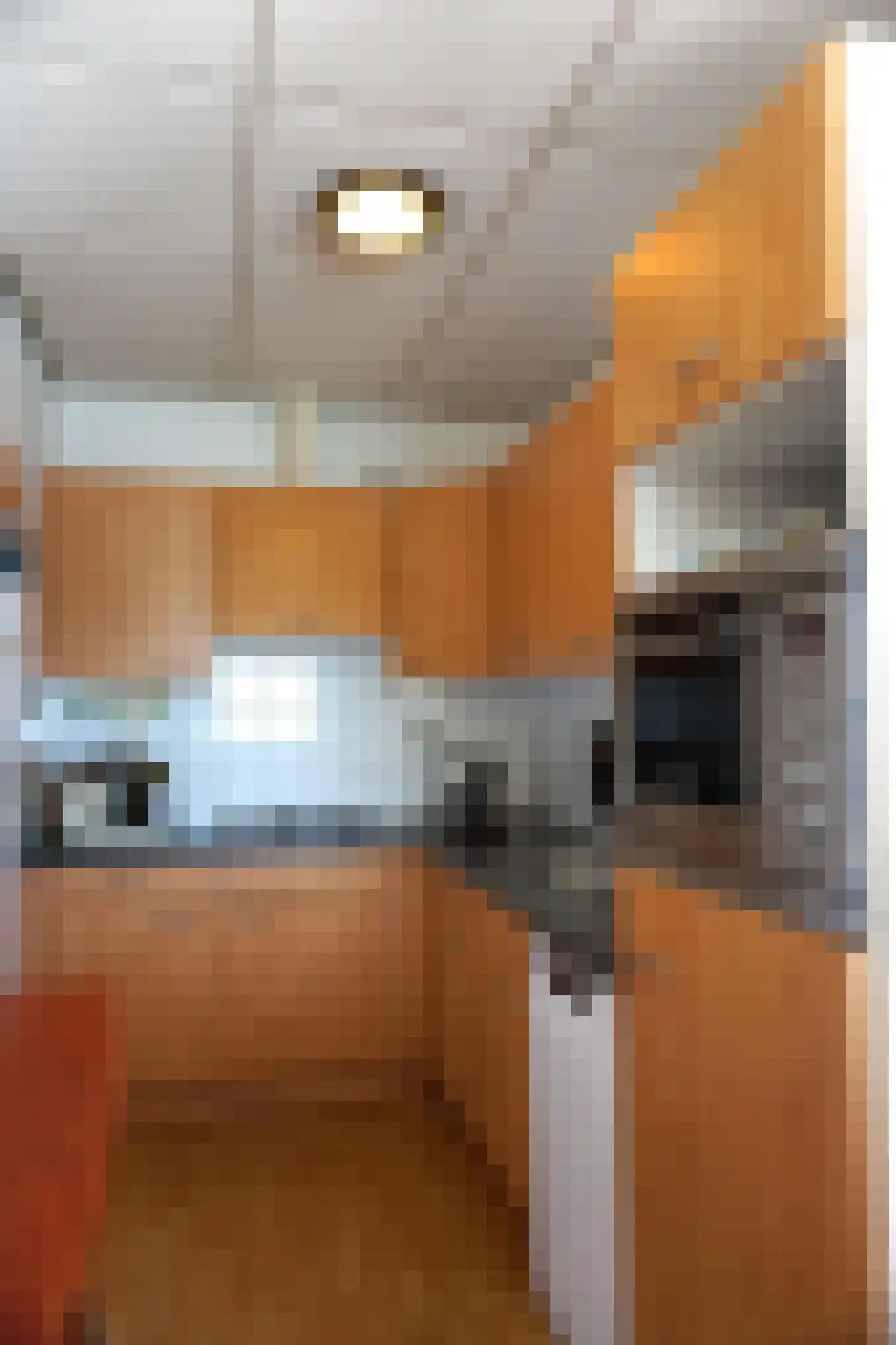 Residence Juliana 42 Julianadorp thumbnail 17