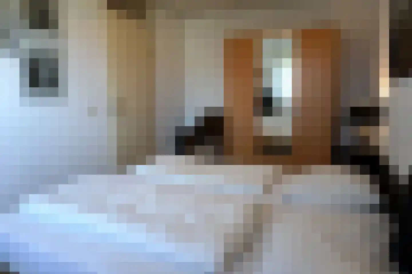 Residence Juliana 42 Julianadorp thumbnail 19