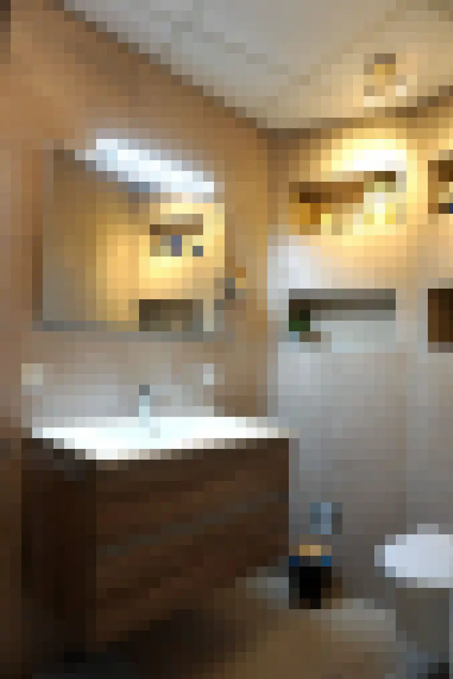 Residence Juliana 42 Julianadorp thumbnail 24