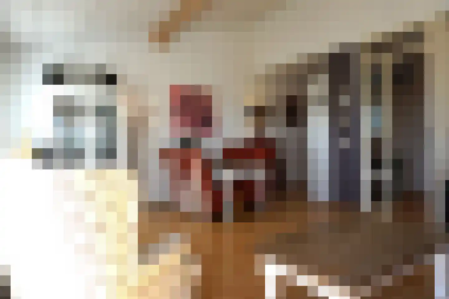 Residence Juliana 42 Julianadorp thumbnail 7