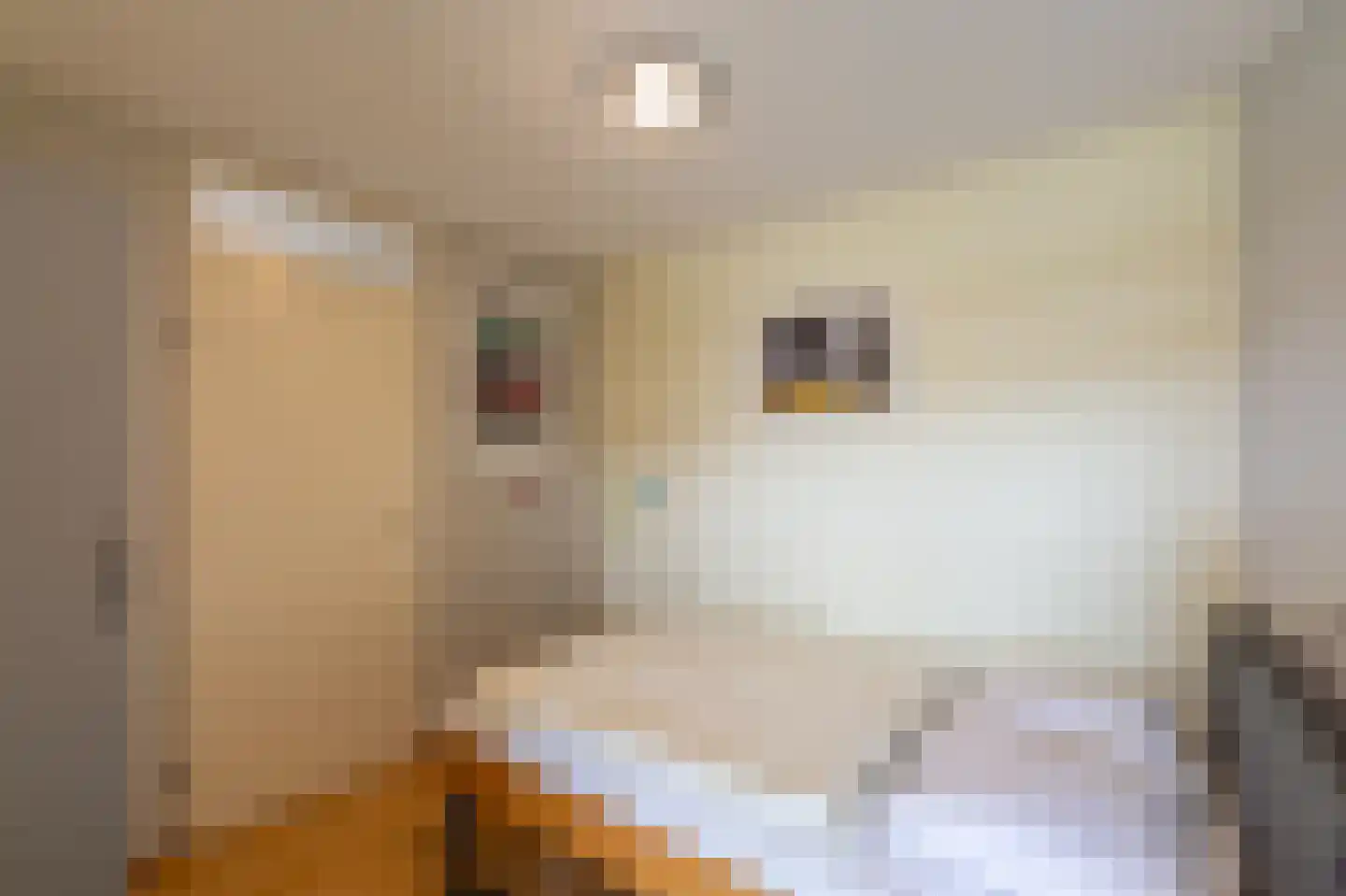 Residence Juliana 52 Julianadorp thumbnail 19