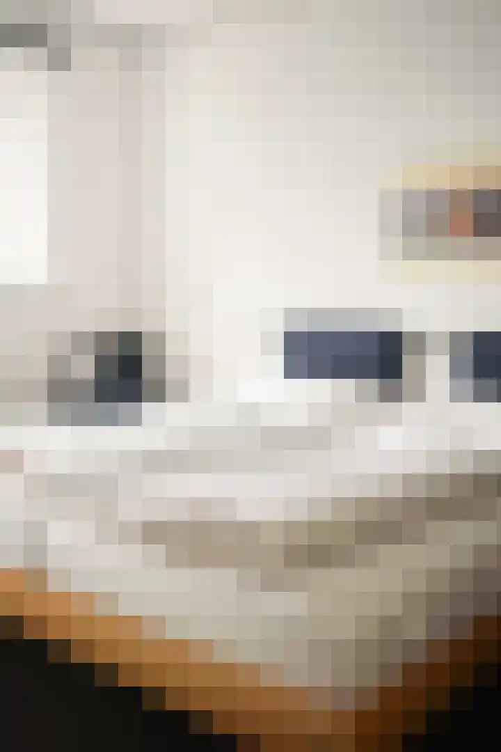 Residence Juliana 61 Julianadorp thumbnail 20