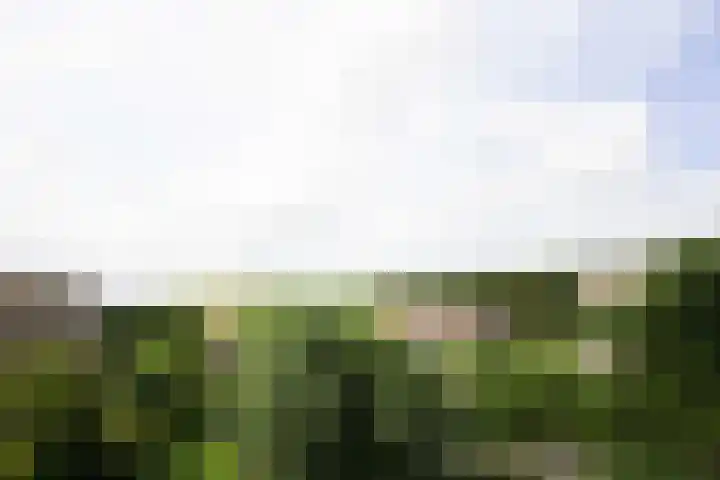 Residence Juliana 61 Julianadorp thumbnail 30