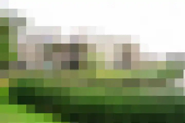 Residence Juliana 61 Julianadorp thumbnail 6