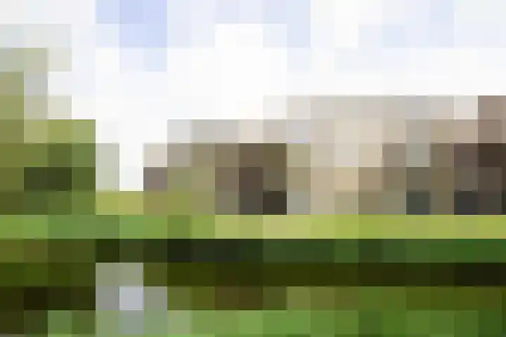 Residence Juliana 61 Julianadorp thumbnail 7