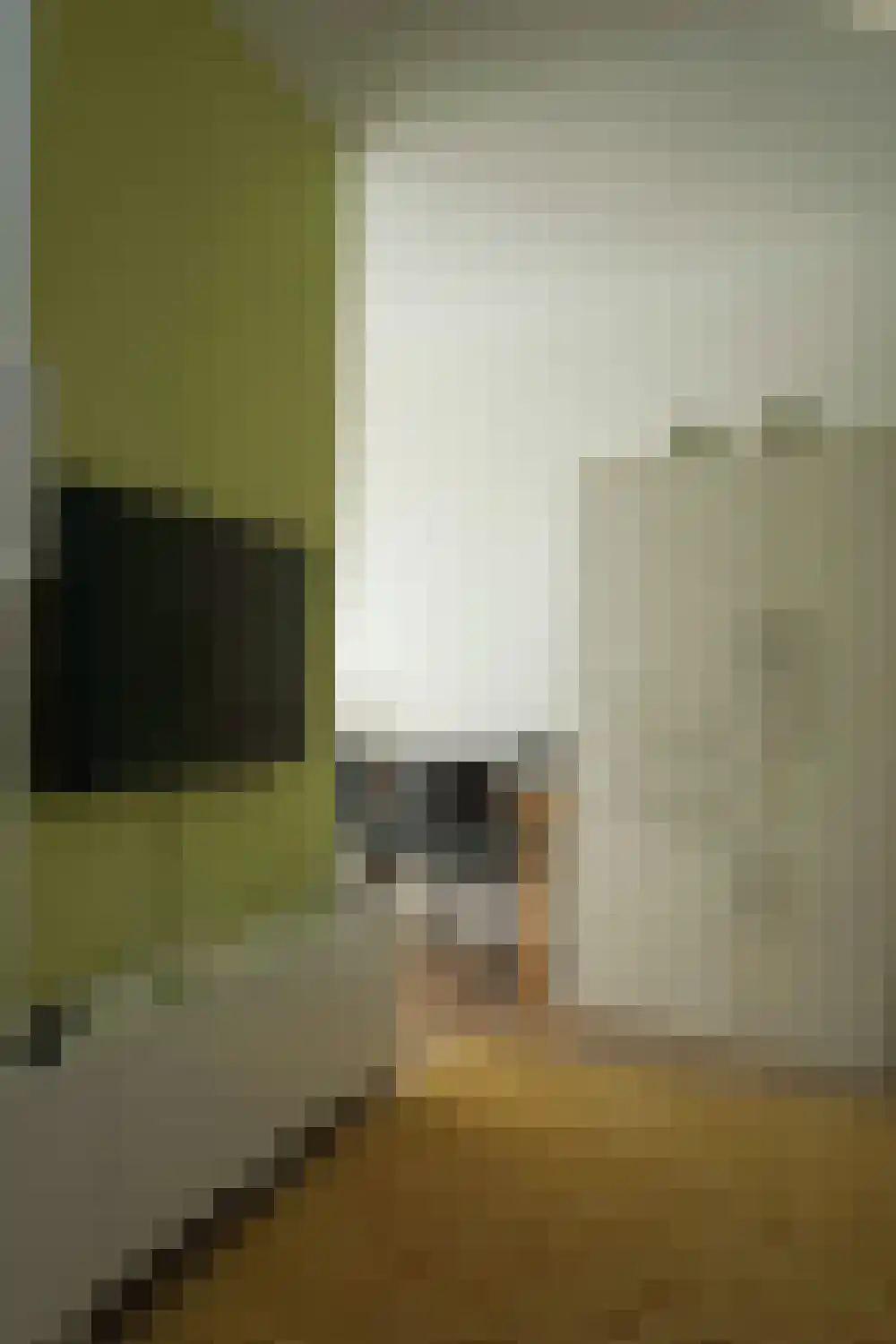 Residence Juliana 75 Julianadorp thumbnail 20