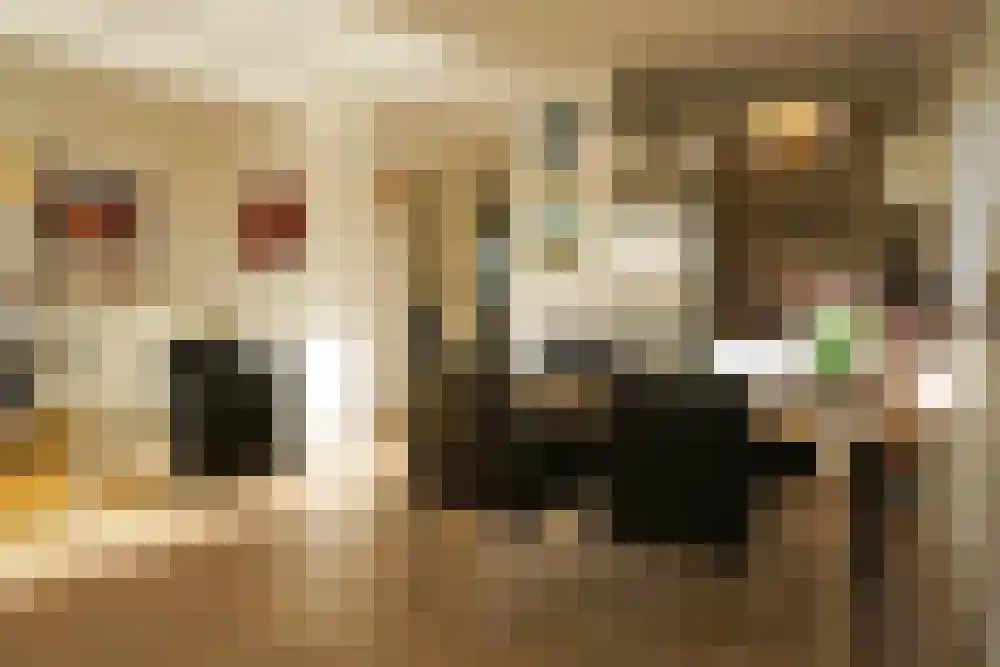 Residence Juliana 75 Julianadorp thumbnail 7