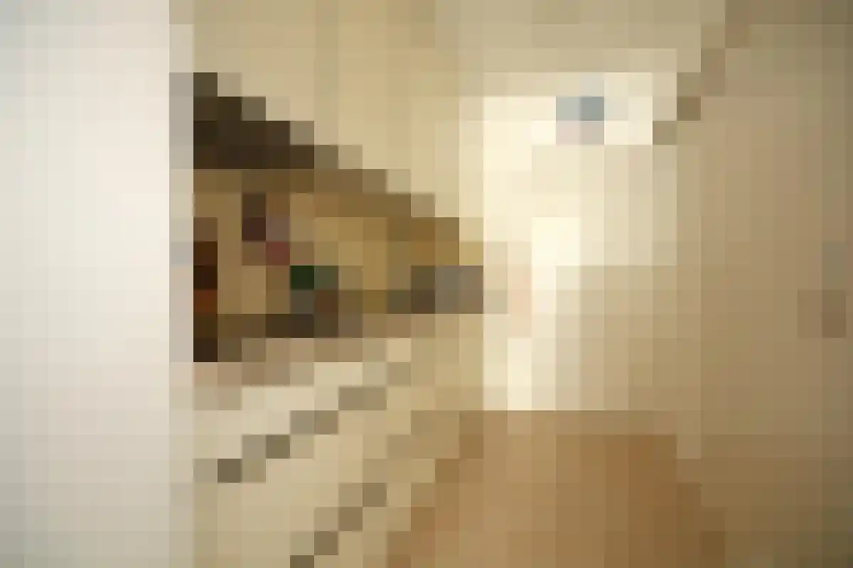 Residence Rembrandt 11 Noordwijk thumbnail 5