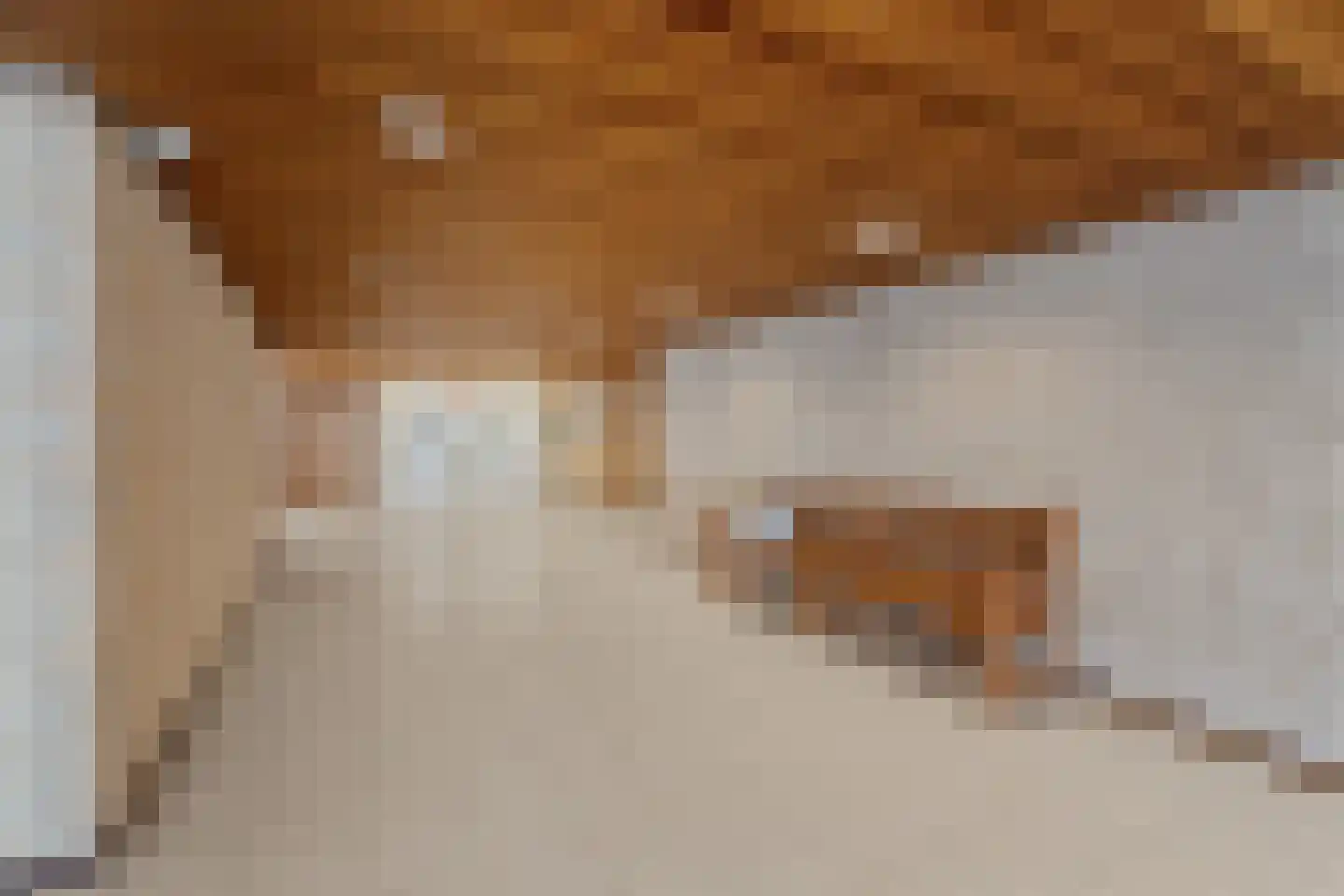 Residence Rembrandt 15 Noordwijk thumbnail 22