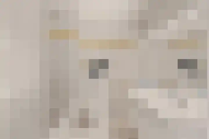 Residence Rembrandt 23 Noordwijk thumbnail 17