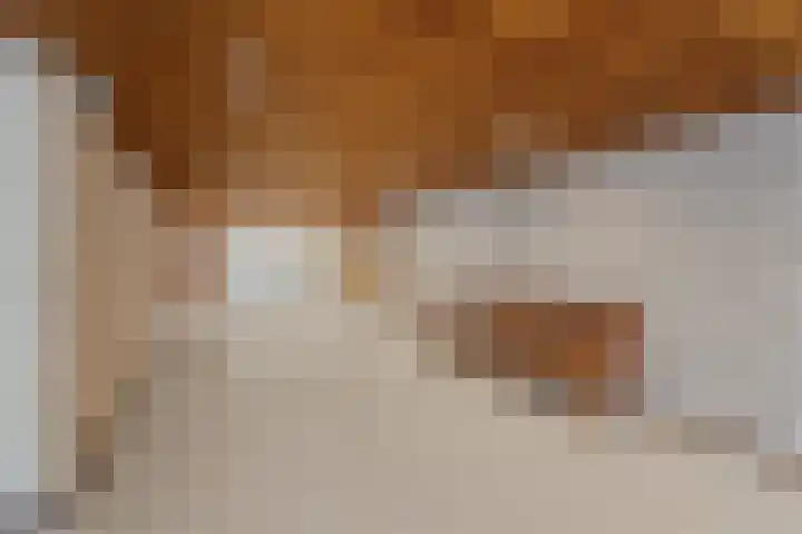 Residence Rembrandt 23 Noordwijk thumbnail 24