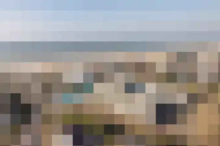 Residence Rembrandt 23 Noordwijk thumbnail 29