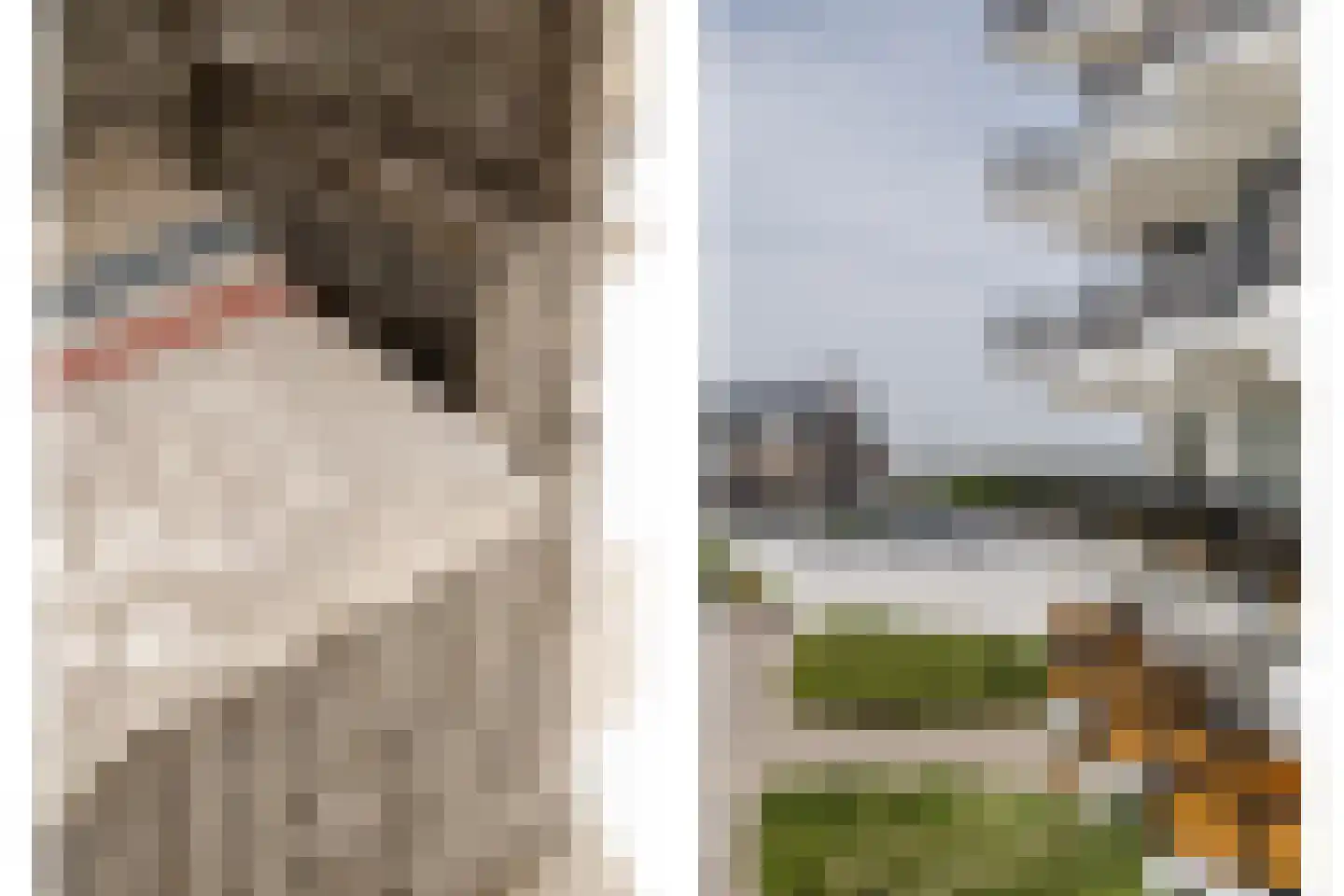 Residence Rembrandt 25 Noordwijk thumbnail 14
