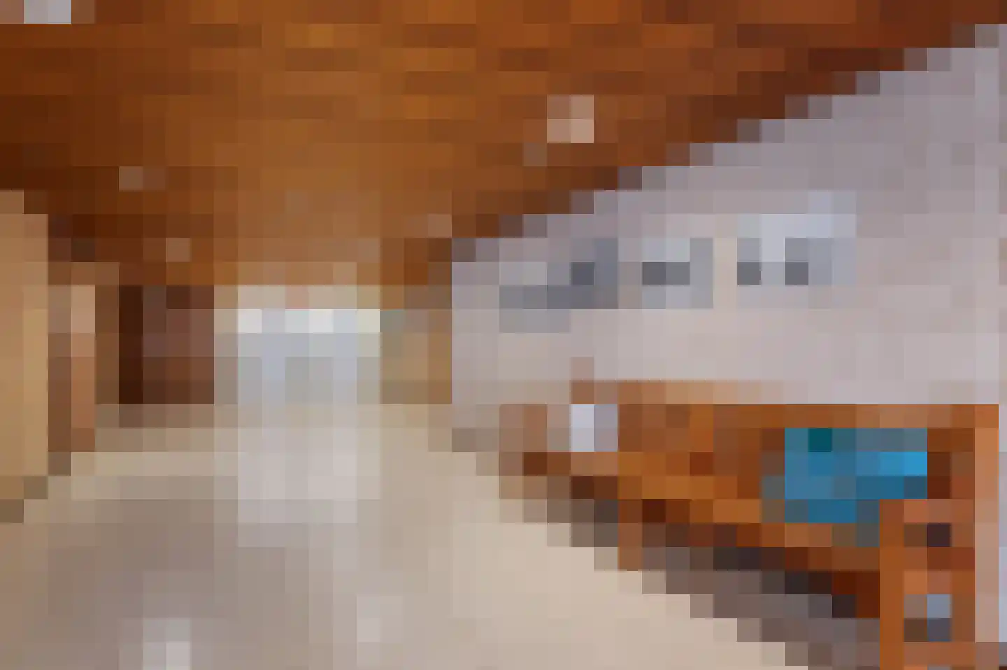Residence Rembrandt 48 Noordwijk thumbnail 11