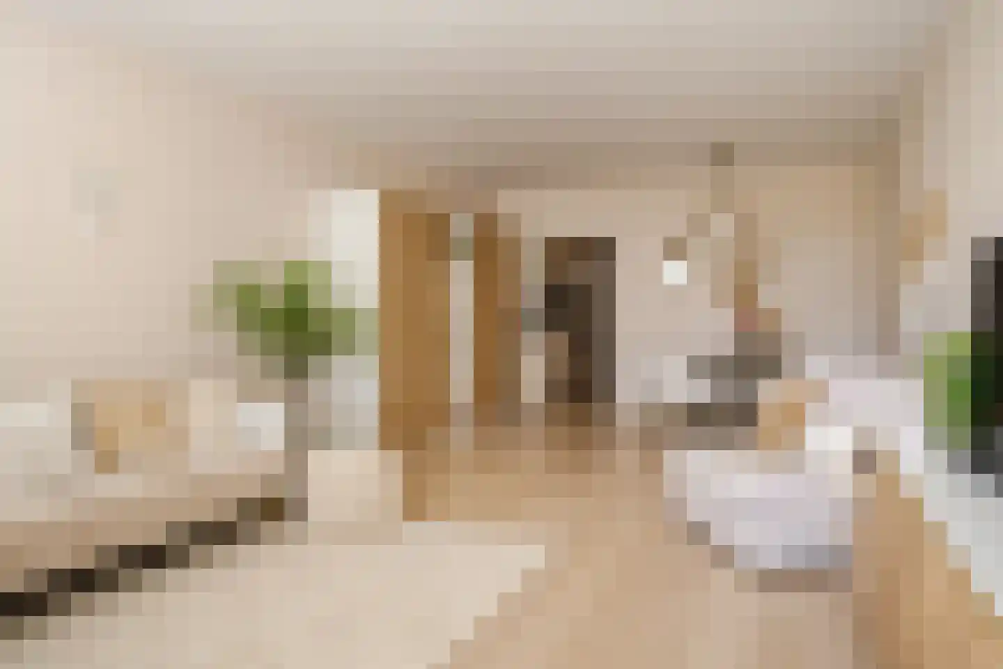 Residence Rembrandt 8 Noordwijk thumbnail 12