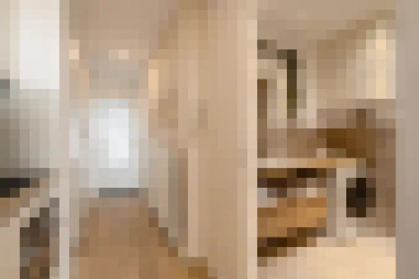 Residence Rembrandt 8 Noordwijk thumbnail 23