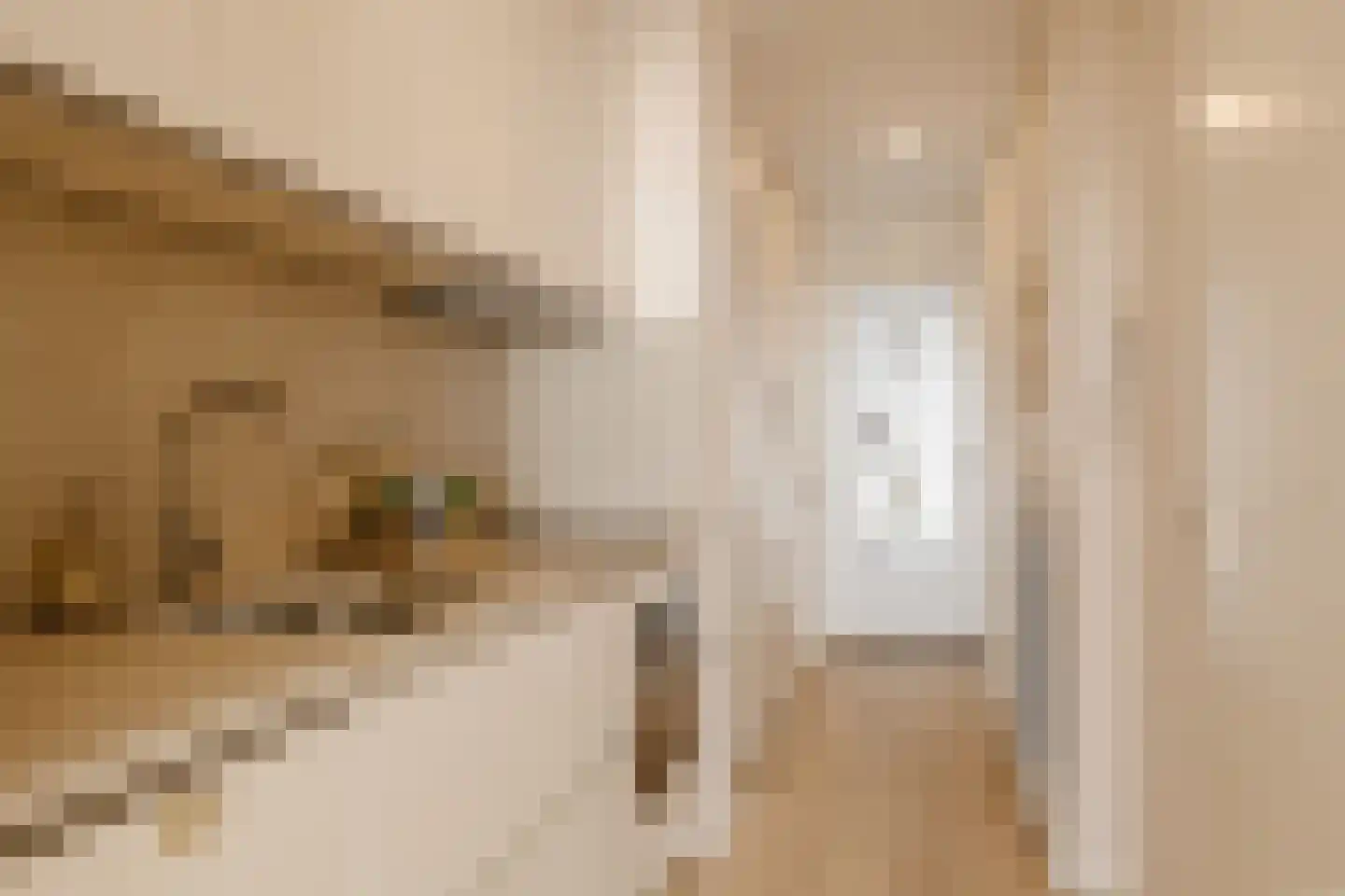 Residence Rembrandt 8 Noordwijk thumbnail 5