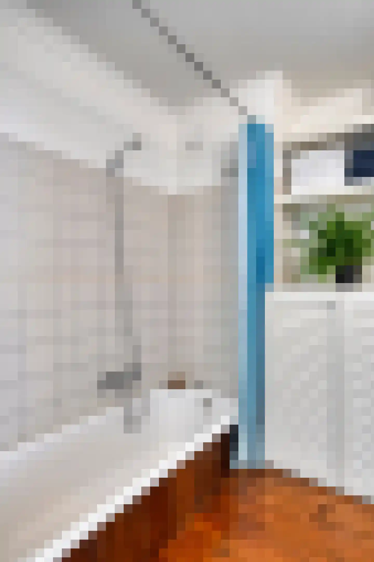 Residence Rembrandt 80 Noordwijk thumbnail 22