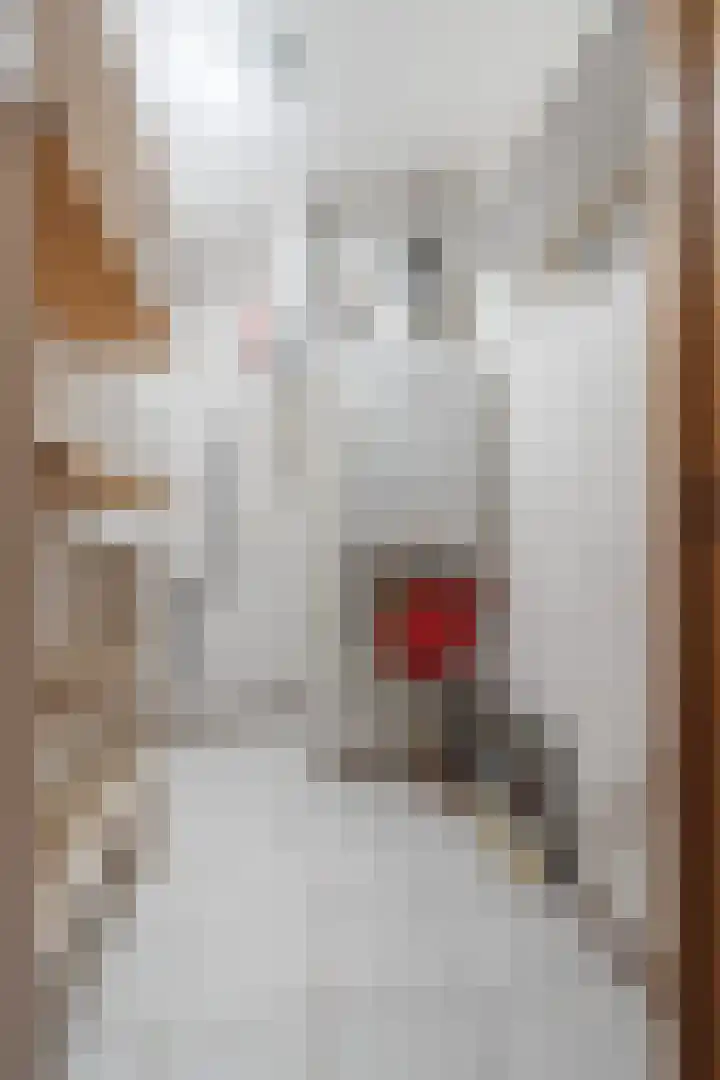 Residentie Azurée 25 Teteringen thumbnail 40