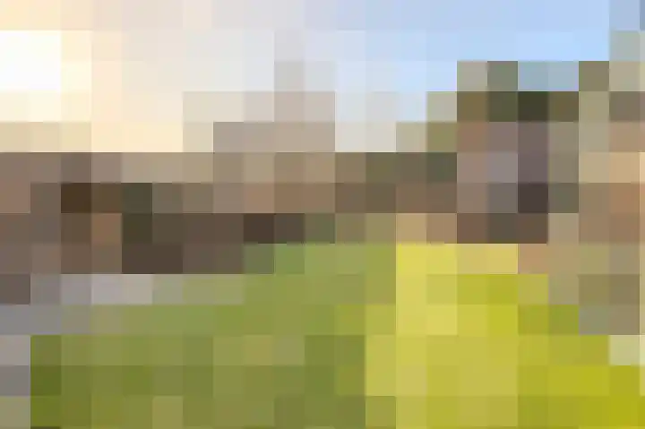 Retersbeekstraat 7 Landgraaf thumbnail 22