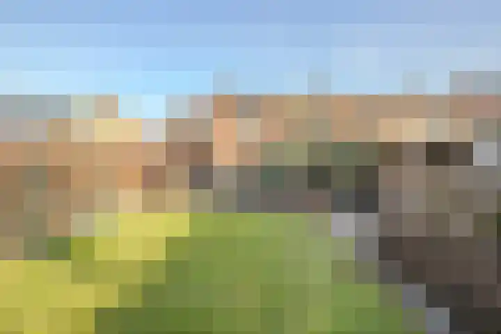 Retersbeekstraat 7 Landgraaf thumbnail 23