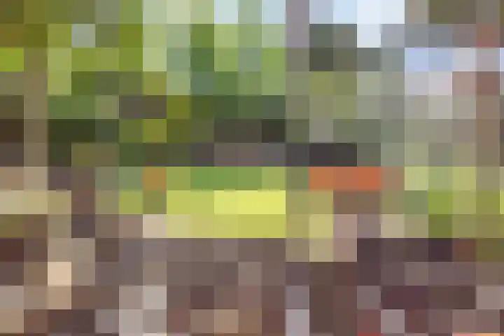 Retersbeekstraat 7 Landgraaf thumbnail 24