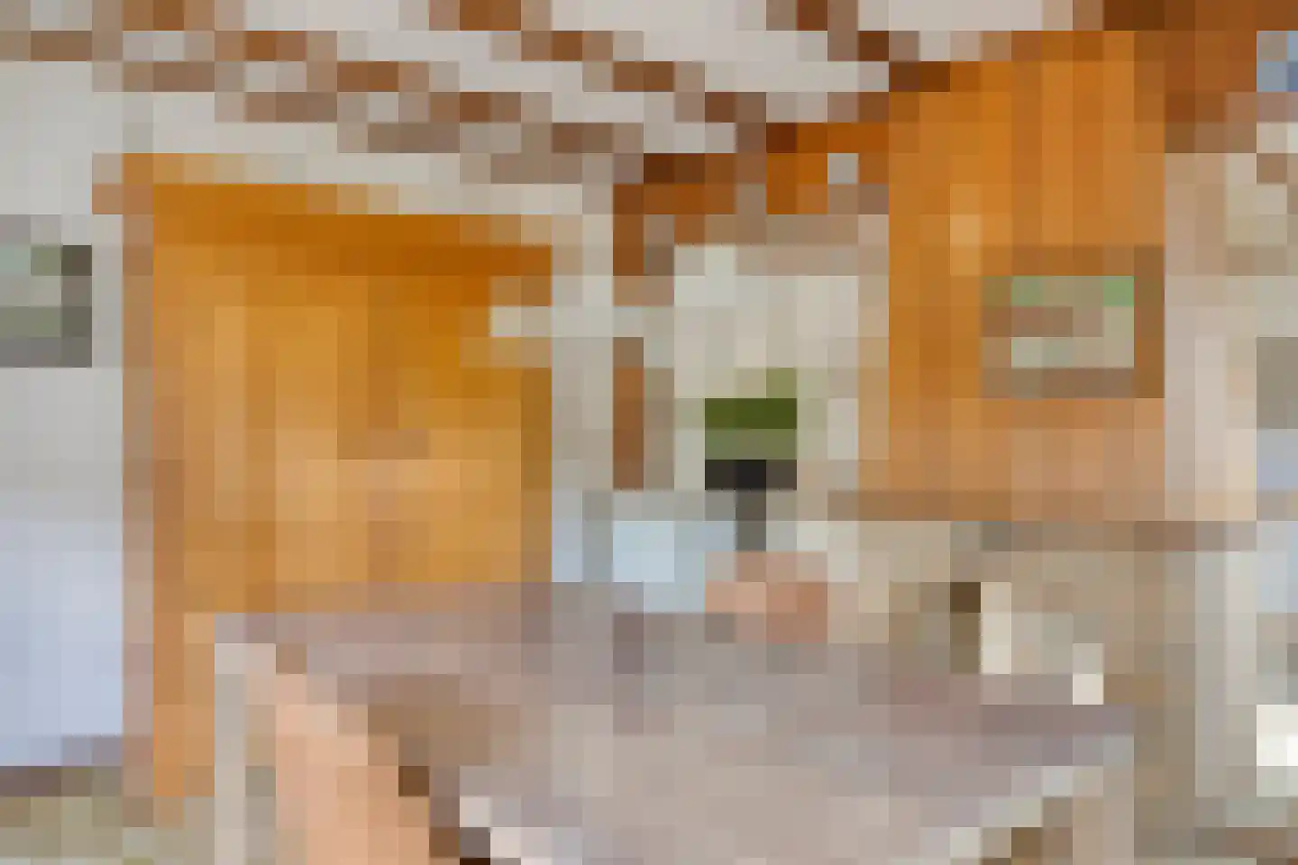 Retersbekerweg 44 Klimmen thumbnail 24