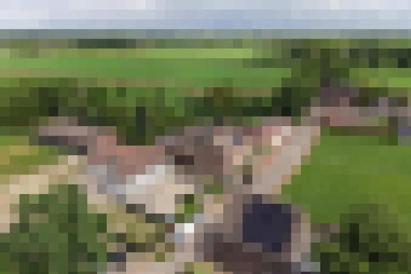 Retersbekerweg 77 Klimmen thumbnail 33