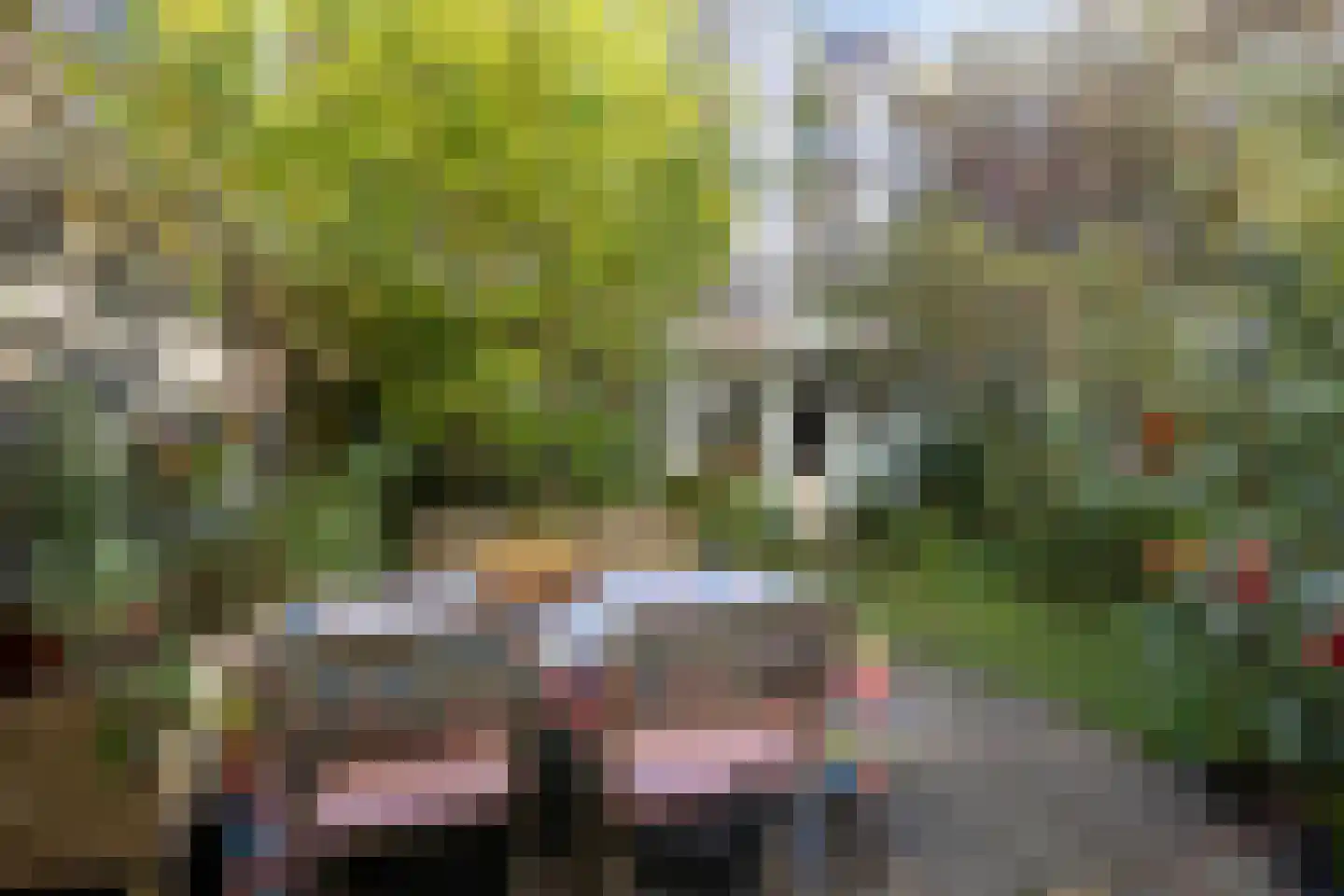 Retiefstraat 11 H Amsterdam thumbnail 35