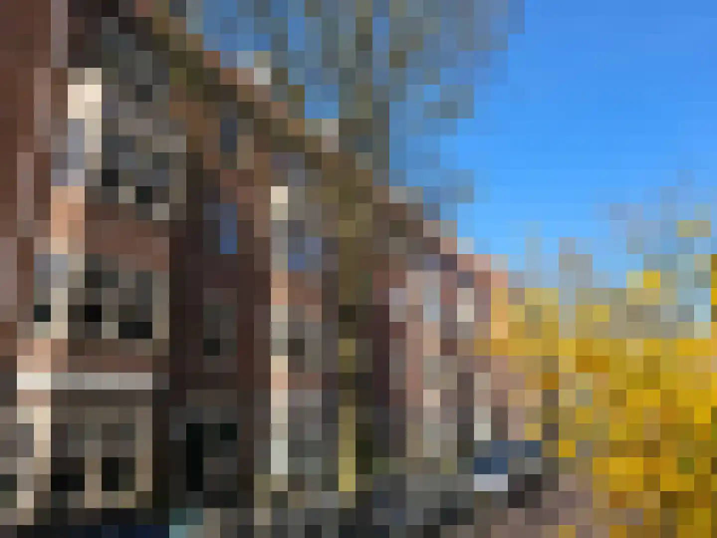 Retiefstraat 12 D Amsterdam thumbnail 33