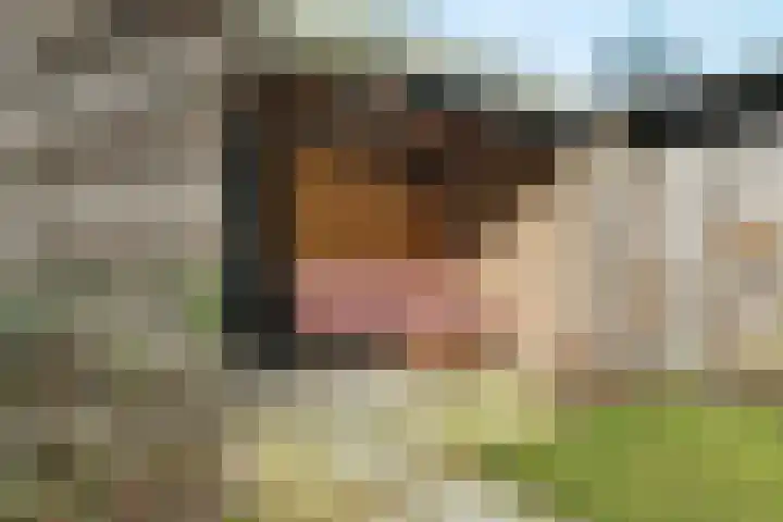 Retiefstraat 152 Ermelo thumbnail 32