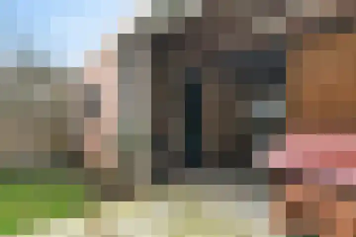 Retiefstraat 152 Ermelo thumbnail 37
