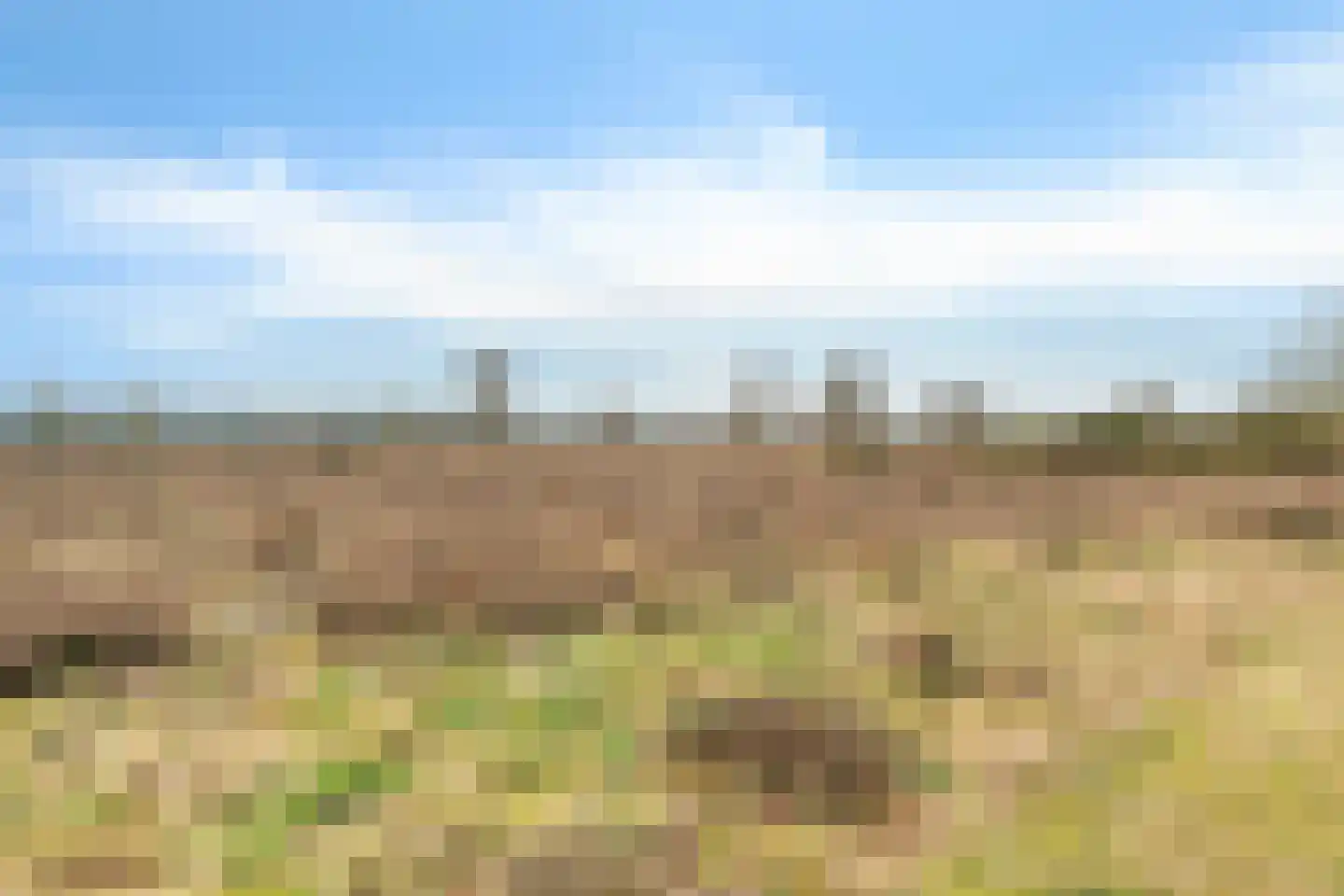 Retiefstraat 152 Ermelo thumbnail 38