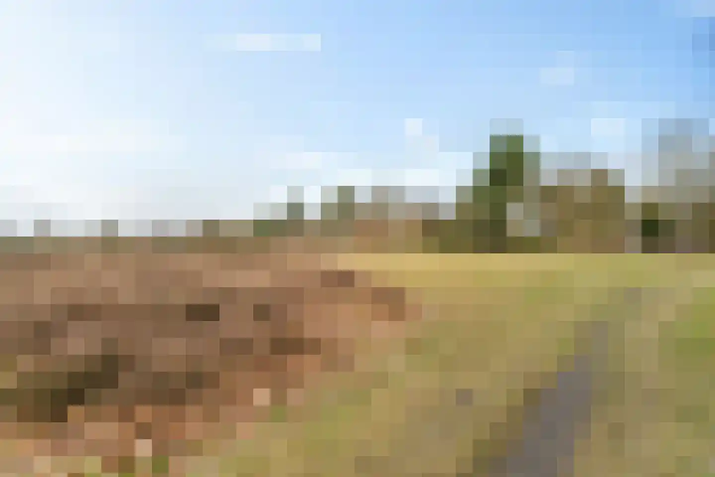 Retiefstraat 152 Ermelo thumbnail 39