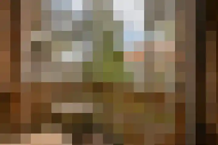 Retiefstraat 2 C Amsterdam thumbnail 12