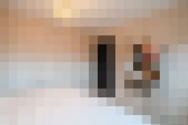 Retiefstraat 211 Ermelo thumbnail 19