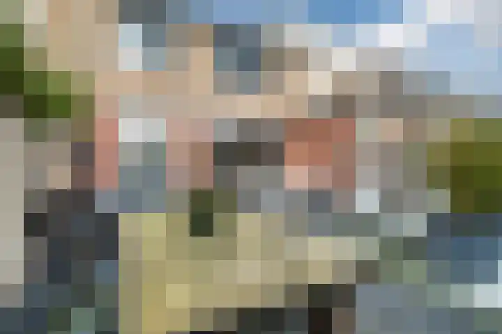 Retiefstraat 211 Ermelo thumbnail 37