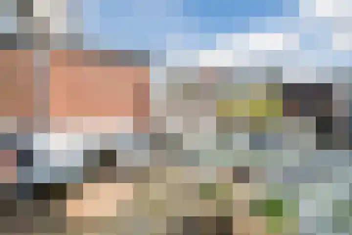 Retiefstraat 211 Ermelo thumbnail 41