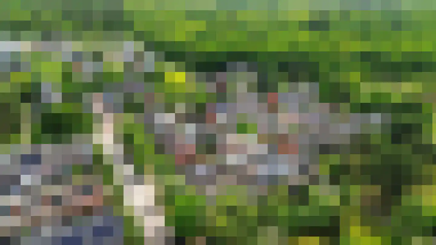 Retiefstraat 217 Ermelo thumbnail 39