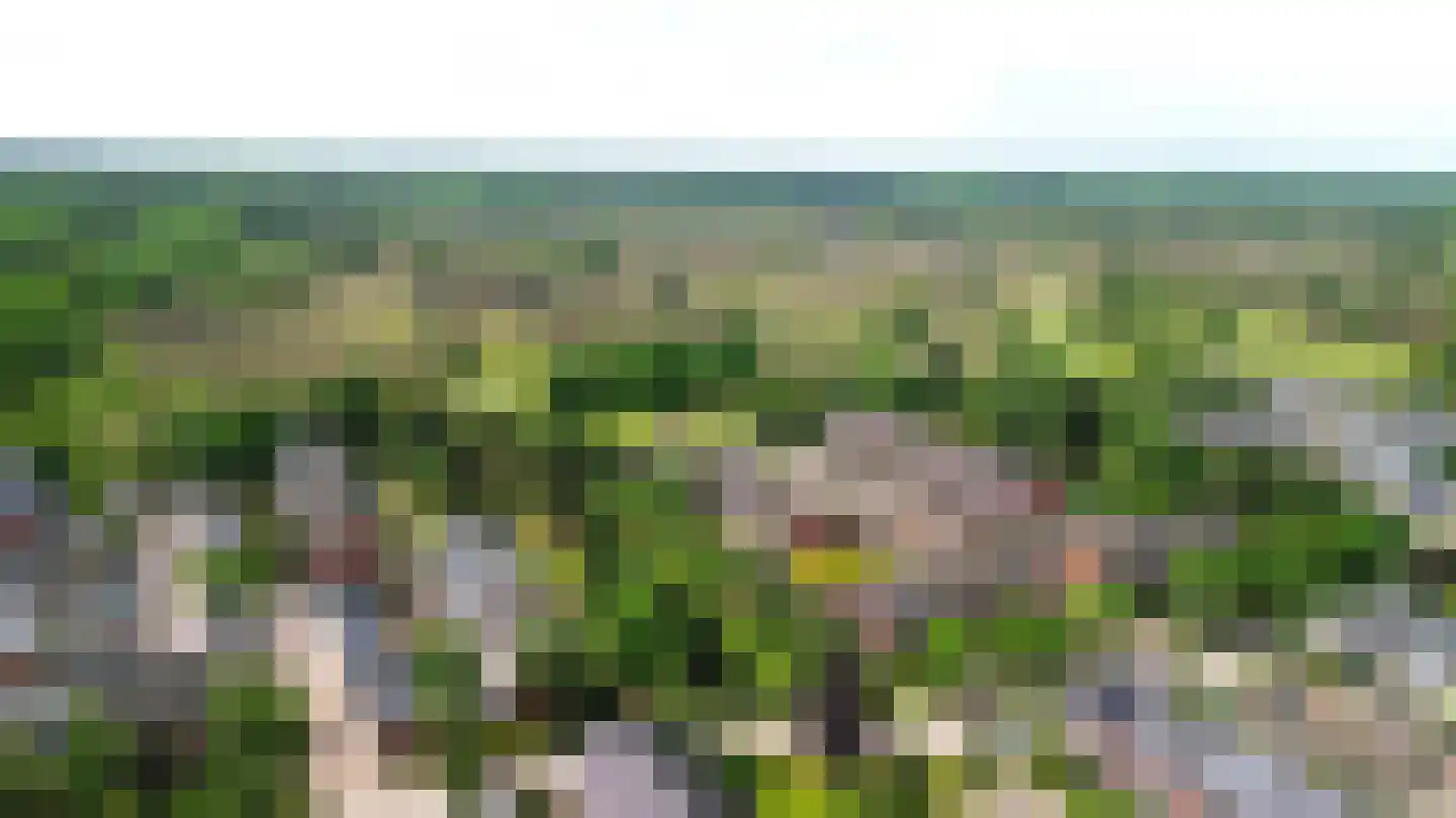 Retiefstraat 217 Ermelo thumbnail 40