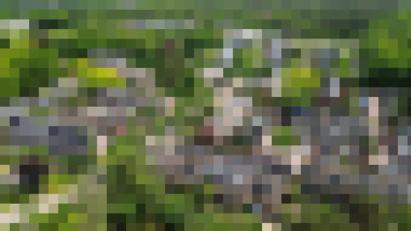 Retiefstraat 217 Ermelo thumbnail 41